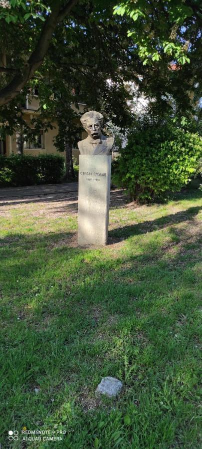 Stevan Sremac Soko Banja Exterior photo