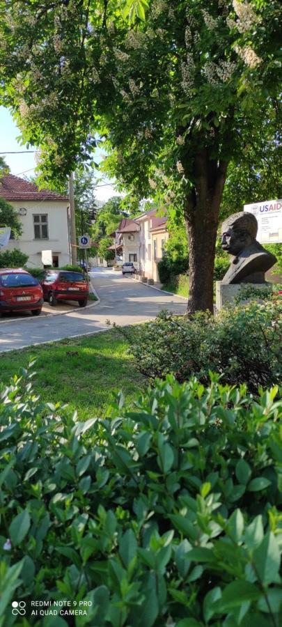 Stevan Sremac Soko Banja Exterior photo