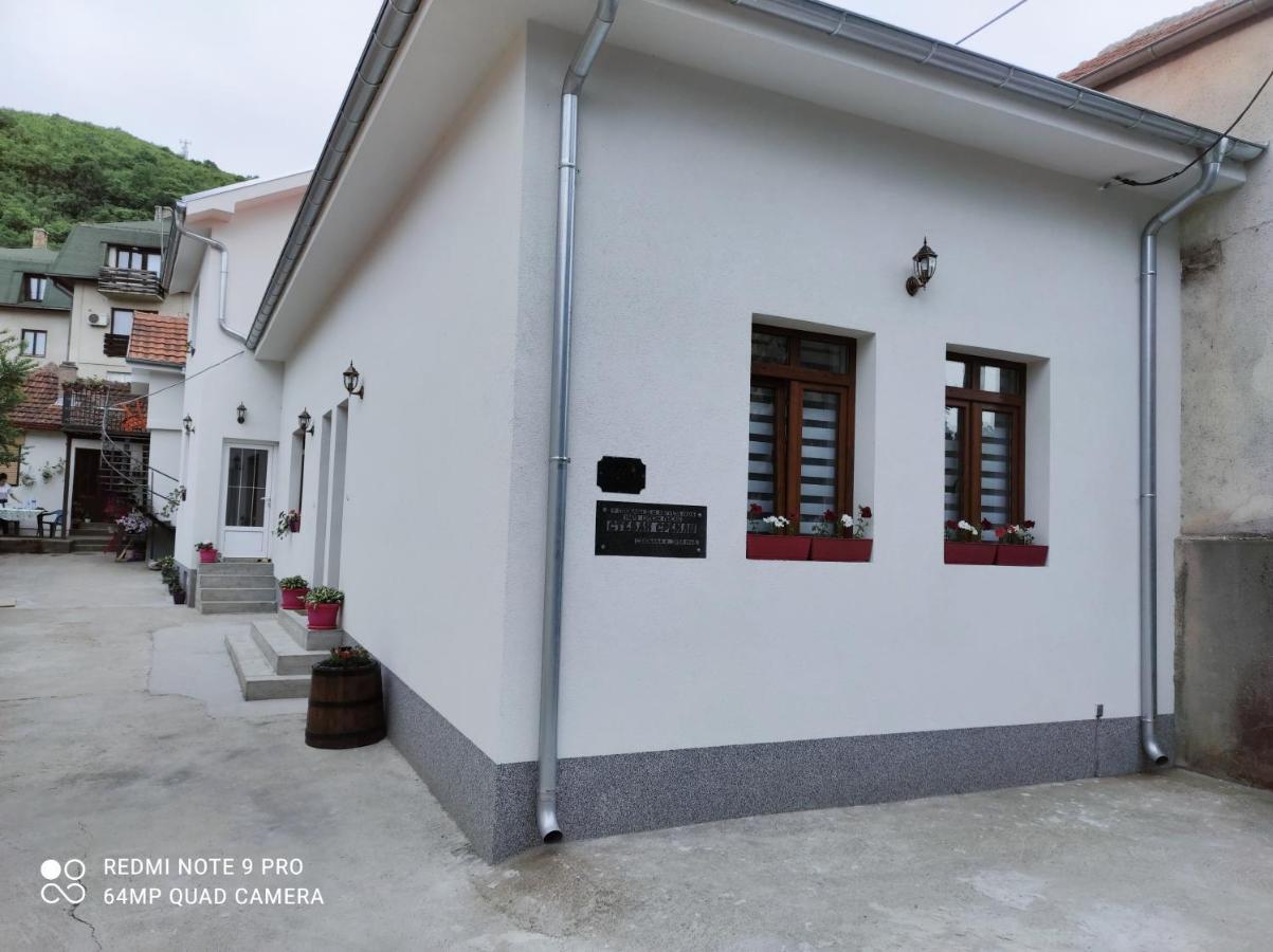 Stevan Sremac Soko Banja Exterior photo