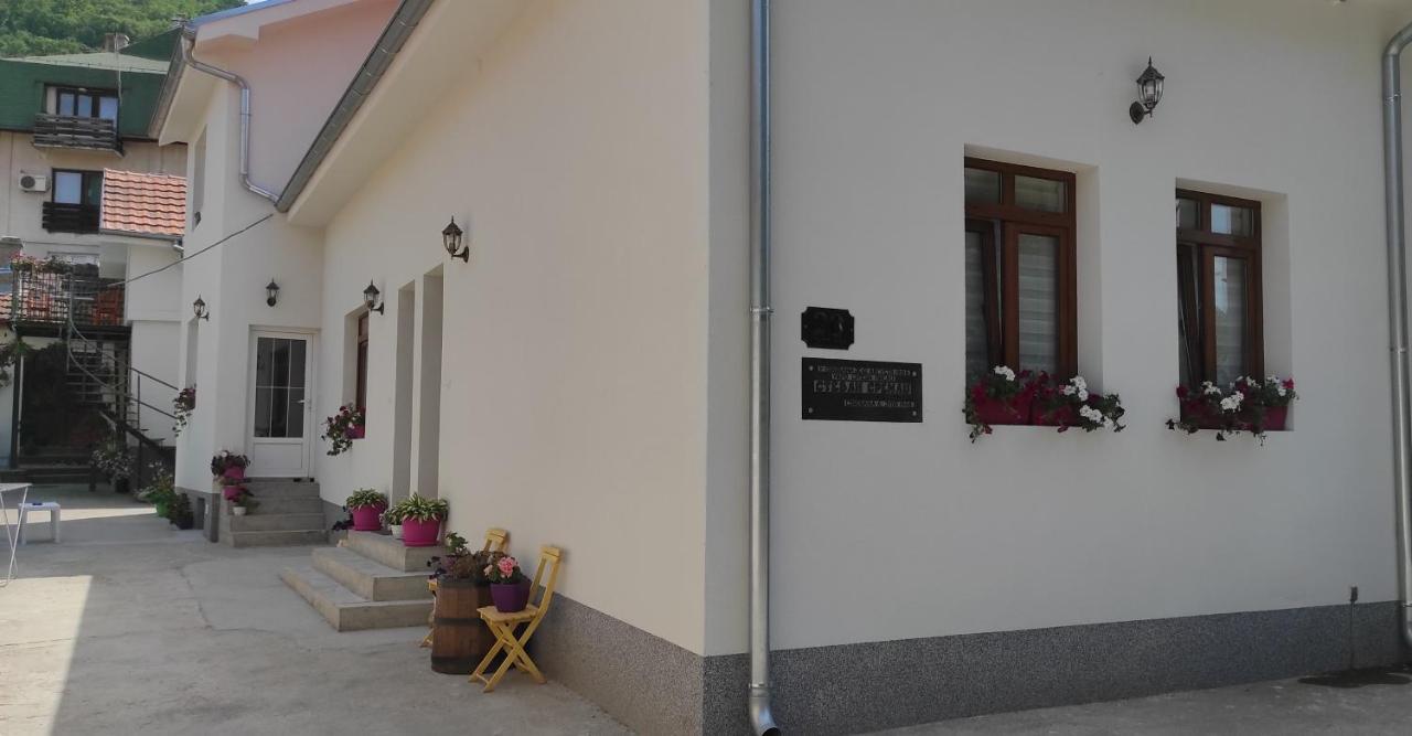 Stevan Sremac Soko Banja Exterior photo